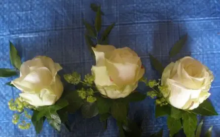 Cream Rose Buttonholes