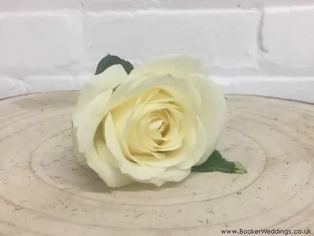 Buttonhole White Rose For Wedding Guests