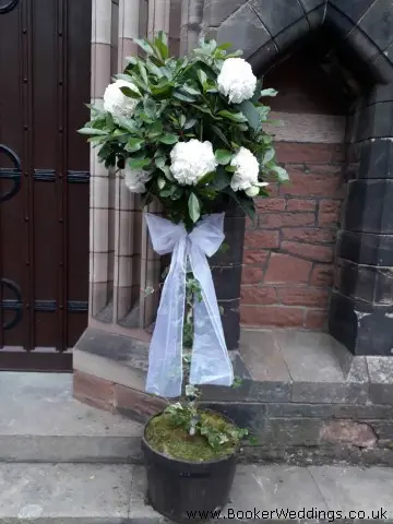 Church Entrance Bay Tree White Hydrangeas And Bow