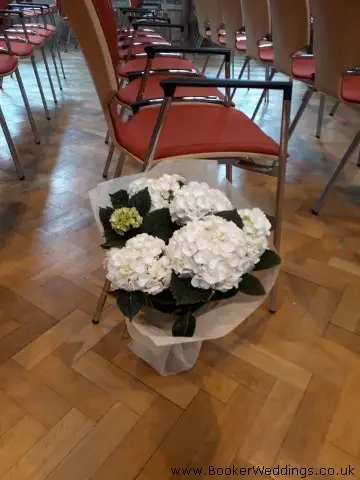 Hydrangeas In Pots For Church Instead Of Pew Ends