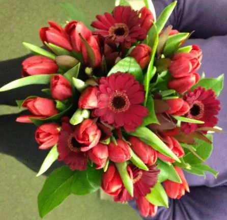 Red Germini and Tulip Bouquet