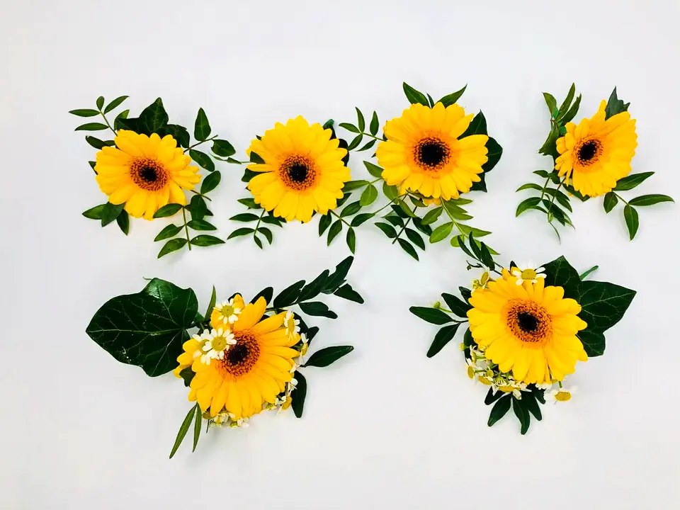 Matching Yellow Buttonholes for Bridal Party