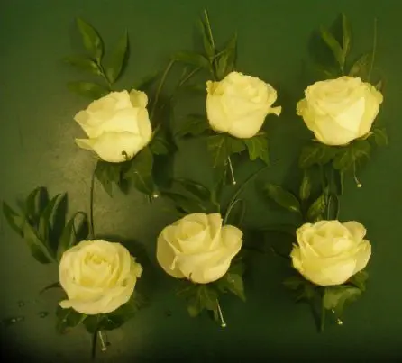 Cream Rose and Buttonhole