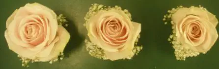 Pink Rose Wrist Corsage