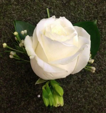 Grooms Buttonhole Rose Wax and Freesia