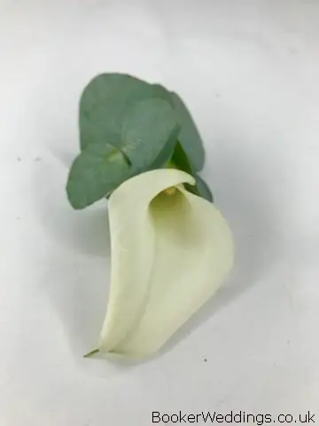 White Calla Lily Buttonhole