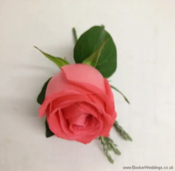 Coral rose and silver foliage buttonhole