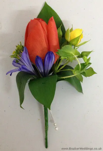 Fancy Red Tulip Grooms Buttonhole with Agapanthus and Spray Roses