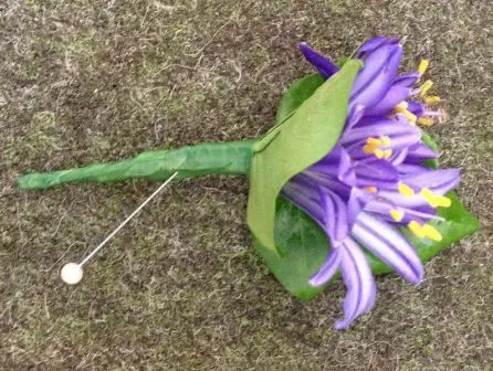 Blue Agapanthus Buttonhole - Meaning of Flowers