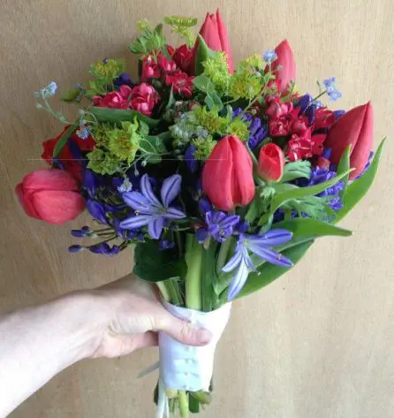 Red and Blue Tulip Agapantha Bouvardia and Hyacinth Bridesmaid Bouquet Side View - Meaning of Flowers
