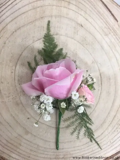 Groom Buttonhole Pink Rose Spray Rose Gyp Asparagus Fern