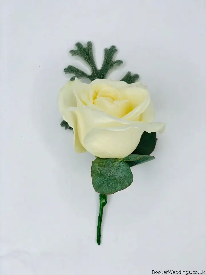 Buttonhole of White Rose and Foliage