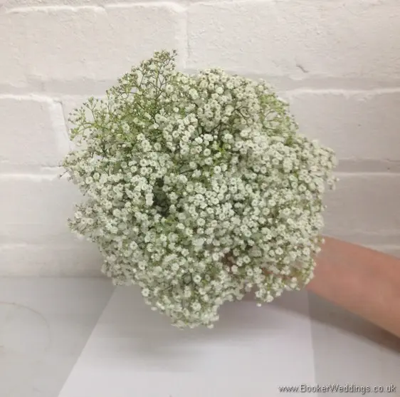 All White Hand Tied Gypsophila Bridesmaid Bouquet