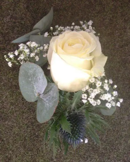 Rose Eryngiumand Gypsophilia Corsage