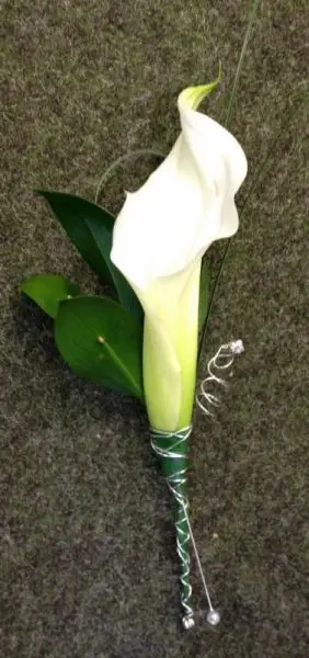 White Calla Grooms Buttonhole