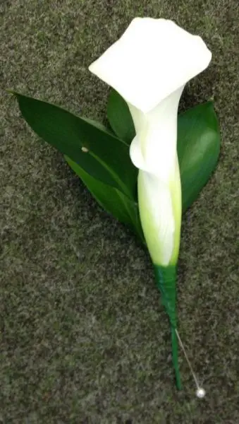 White Calla Mens Buttonhole