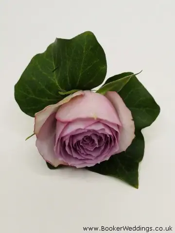Lilac Rose and Ivy Buttonhole