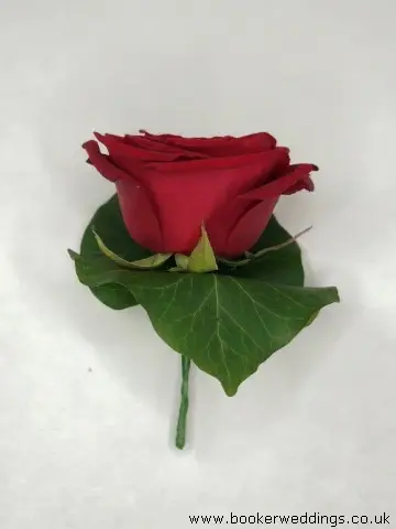 Red Rose Buttonhole for Groomsmen