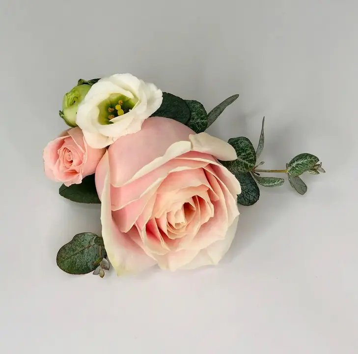 Pink Rose and Eucalyptus Grooms Buttonhole