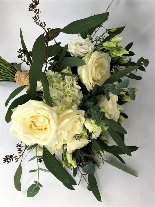 Cream / White