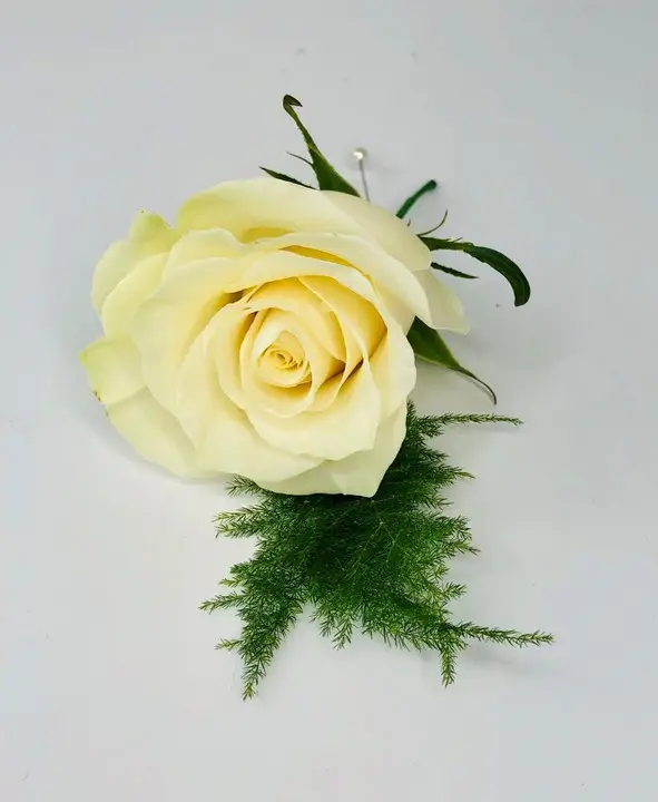 Classic White Rose Buttonhole with Asparagus Fern