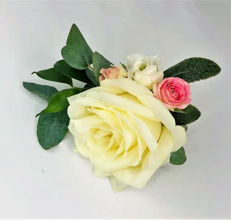 Rose Boutonniere for Summer Groom with Pretty Foliage