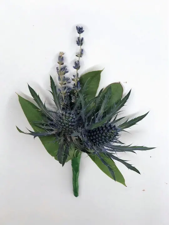 Thistle Boutonniere with Eucalyptus and Lavender