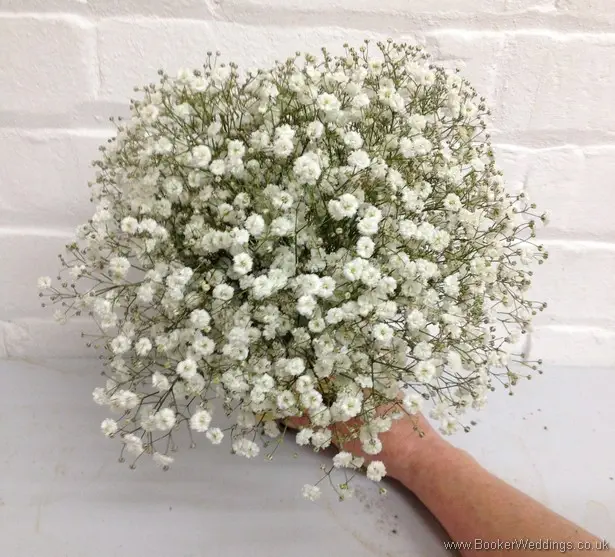 All Gypsophila Bridesmaid Bouquet Hand tied with a Gold Ribbon and Bow