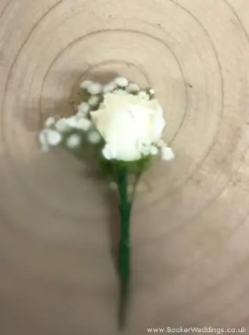 Buttonhole for Page BoyWhite Spray Rose and Gypsophila