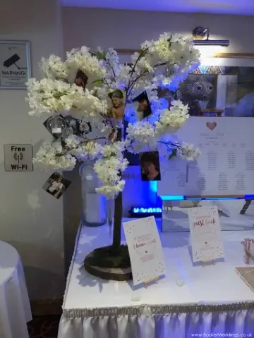 Wedding Blossom Tree for Wedding Venue Dressing