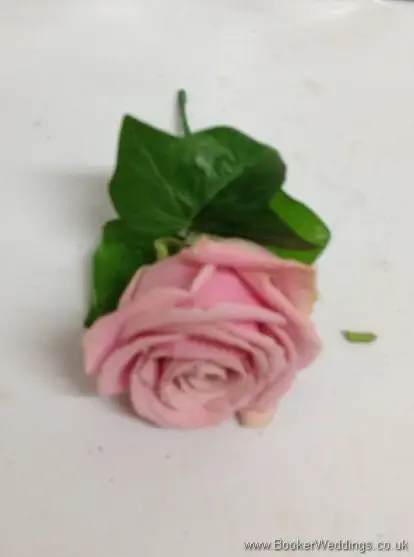 Country Garden Dusky Pink Buttonhole