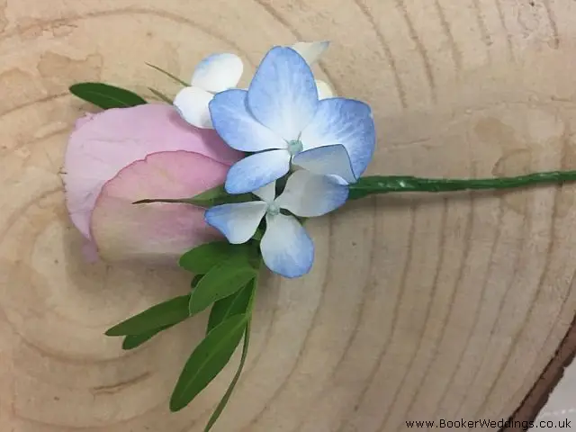 Lilac Rose Buttonhole with Blue Hydrangea
