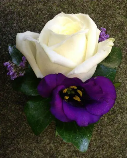Purple and white Grooms Buttonhole