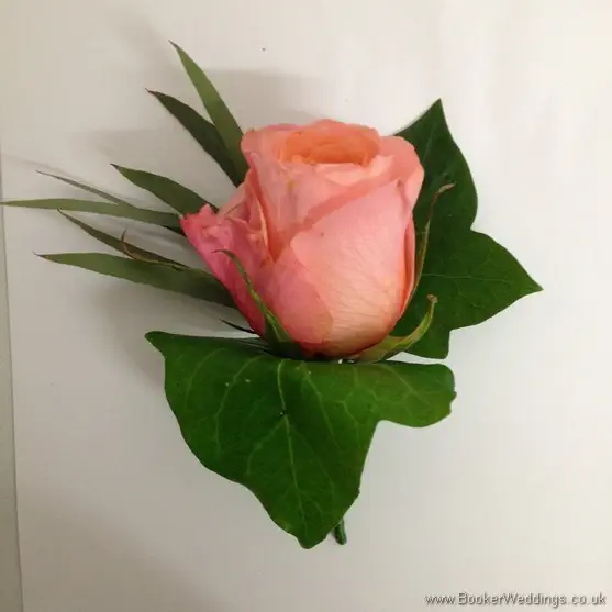Coral Rose Buttonhole