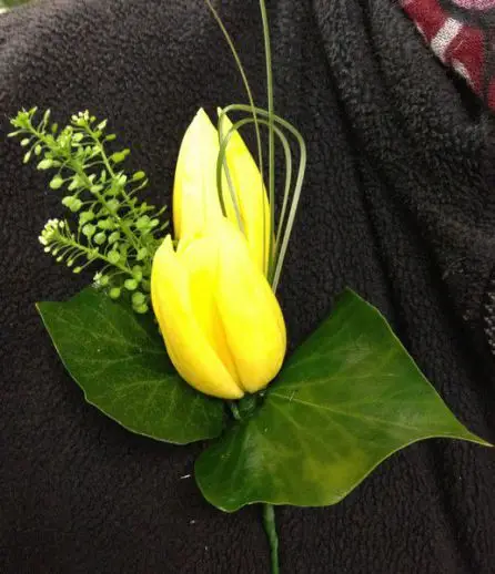 Grooms Yellow Tulip Buttonhole