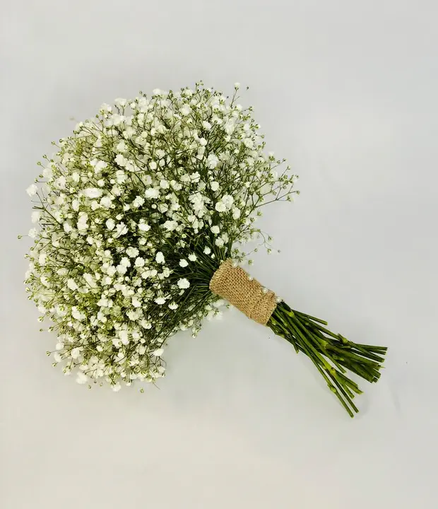 Gypsophila Bridesmaid Bouquet for Wedding
