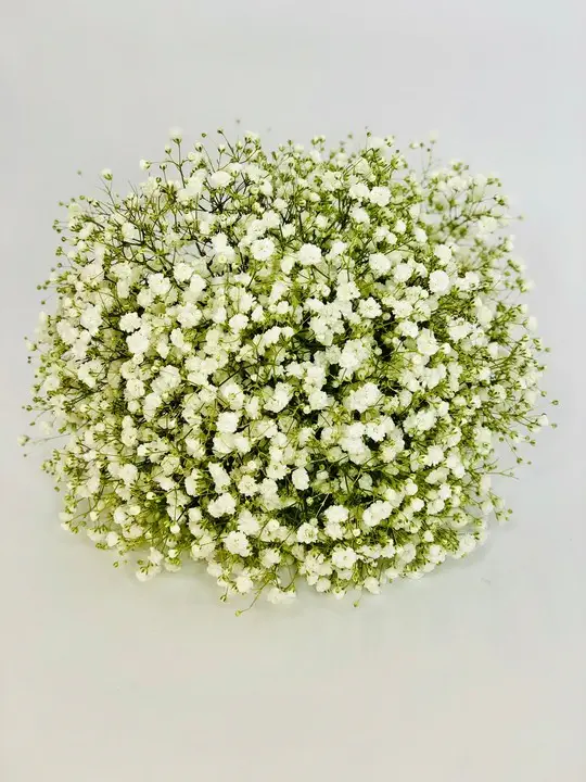 Gypsy Grass Handtied Bouquet for Bridesmaid