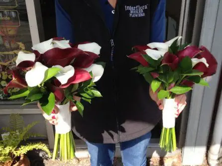 Burgandy and White Calla Lilly Brides and Bridesmaid Bouquet - Side