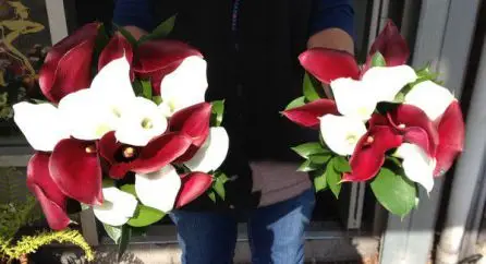 Burgandy and White Calla Lilly Brides and Bridesmaid Bouquet