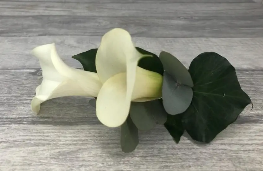 Groom White Calla Lily Buttonhole