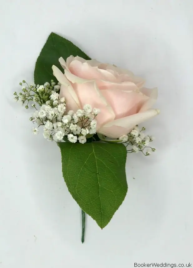 Pink Rose and Gyp Bestman Buttonhole