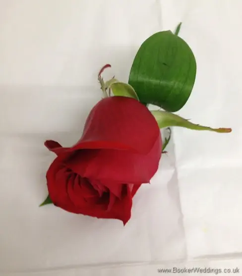 Bright and vibrant red rose buttonhole
