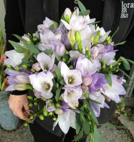 Lilac Freesia Bridesmaid Bouquet