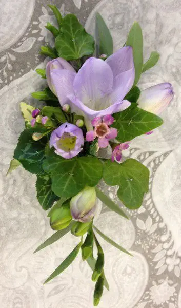 Lilac Freesia and Wax Corsage
