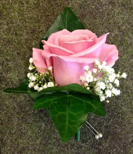 Dusky Pink Rose and Gypsophilia Grooms Buttonhole