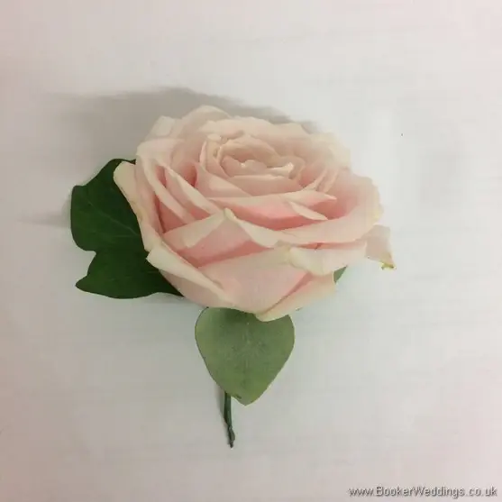 Soft pink buttonhole