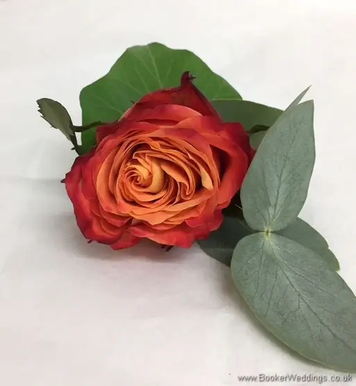 Orange rose and eucalyptus buttonhole