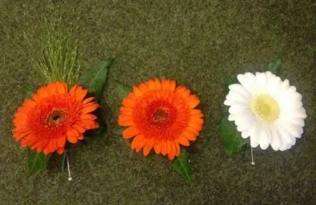 Gerbera Buttonholes