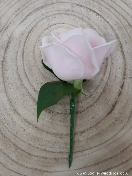 Guest Wedding Buttonhole of Sweet Avalanche Rose