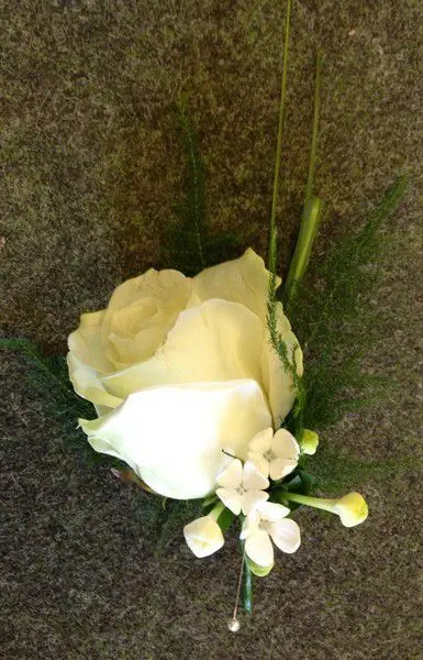 Grooms Buttonhole of Cream Rose and Bouvardia